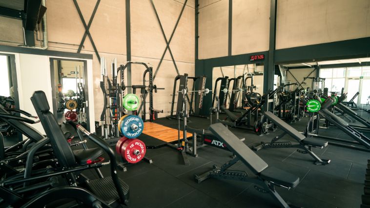 DTL Coaching - PT_Fitness - Maurik-19