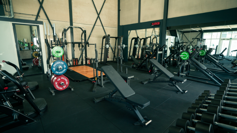 DTL Coaching - PT_Fitness - Maurik-26